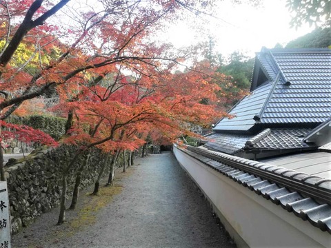 20211117神峯山寺 (2)