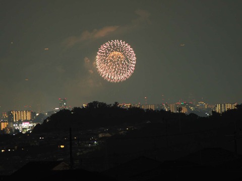 20220827なにわ淀川花火 (28)