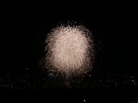 20240808辨天花火 (56)