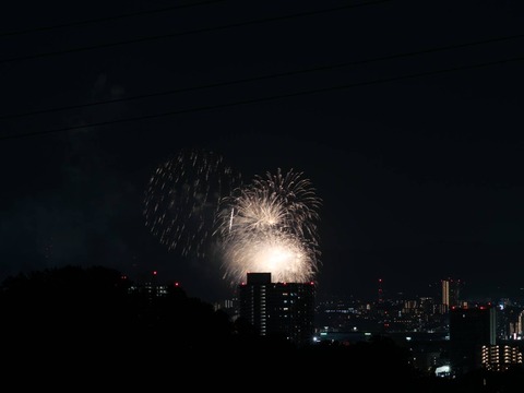 20240815くらわんか花火 (10)