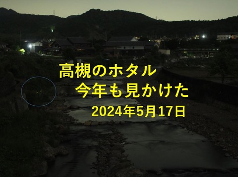 ホタル表紙