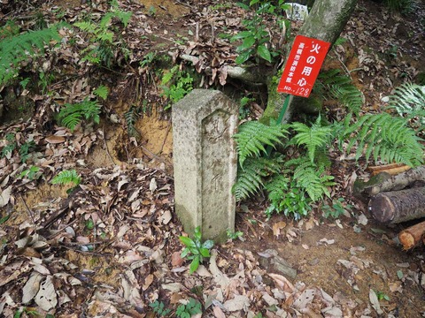 20230625金龍寺 (4)