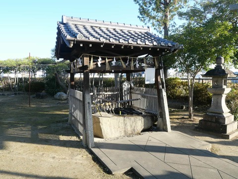 20250102郡家素戔嗚尊神社 (15)