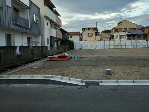 20250717コスモス (4)