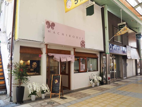 20240414HACHIROBEE (7)