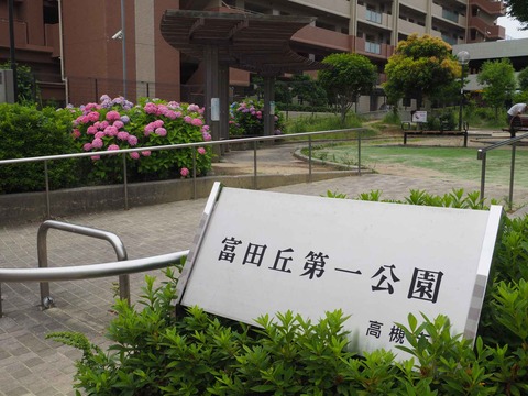 20230610富田第一公園 (1)
