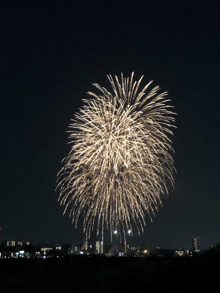 淀川の河川敷でサプライズの花火があったみたい 写真追加 21年3月26日 高槻network新聞 淀川の河川敷でサプライズの花火があったみたい 写真追加 21年3月26日 高槻network新聞