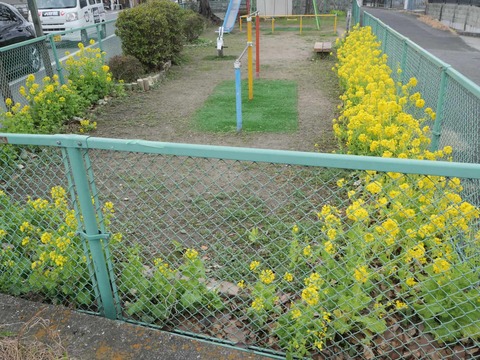 20260308西真上 (11)