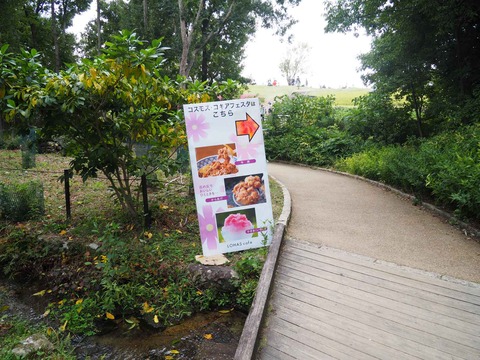 20221022万博記念公園 (14)