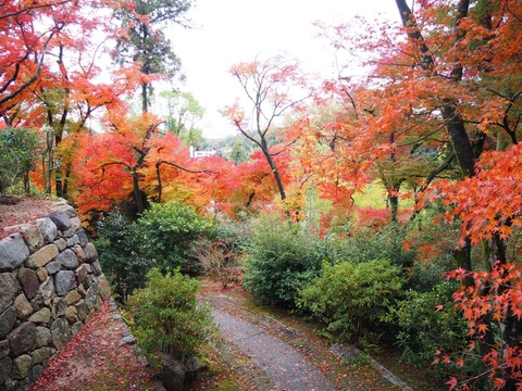 20221123大門寺 (23)