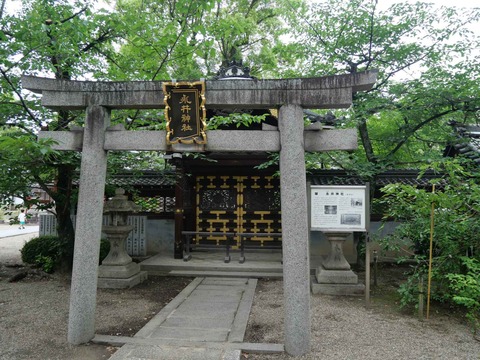 20240609野見神社 (4)