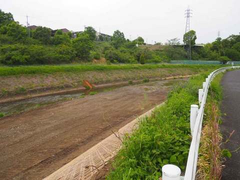 20240506芥川大蔵司 (5)