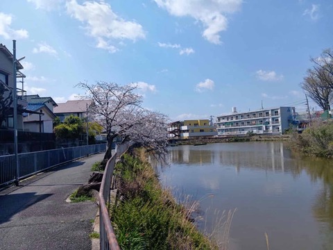 20260403安岡寺町 (4)