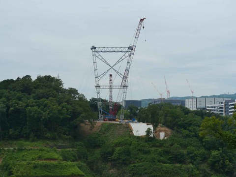 20240622吊り橋 (29)