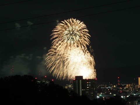 20230917水都くらわんか (45)