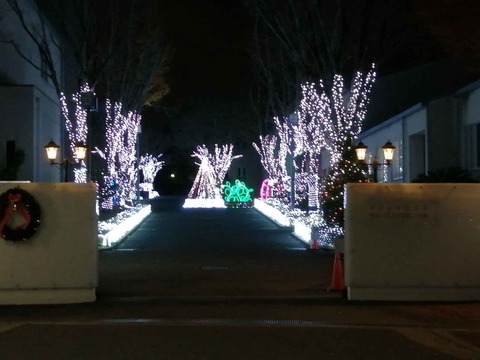 20231207平安女子学院大学 (4)