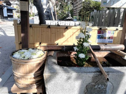 20211130野見神社花手水 (4)