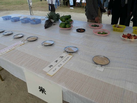 20241117農林業祭 (16)