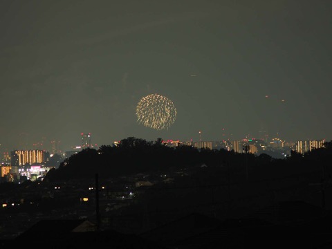 20220827なにわ淀川花火 (62)