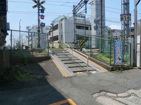 20240616下新庄付近 (36)