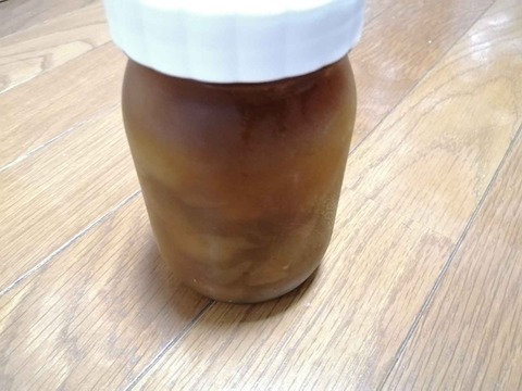 20230623ウメジャム (5)