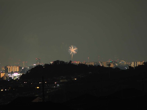 20220827なにわ淀川花火 (95)