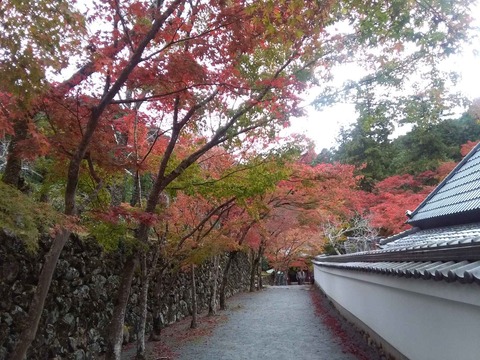 koyo2018_6