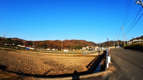 20221210摂津峡方面 (1)