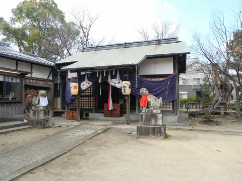 20250103八幡大神宮 (9)