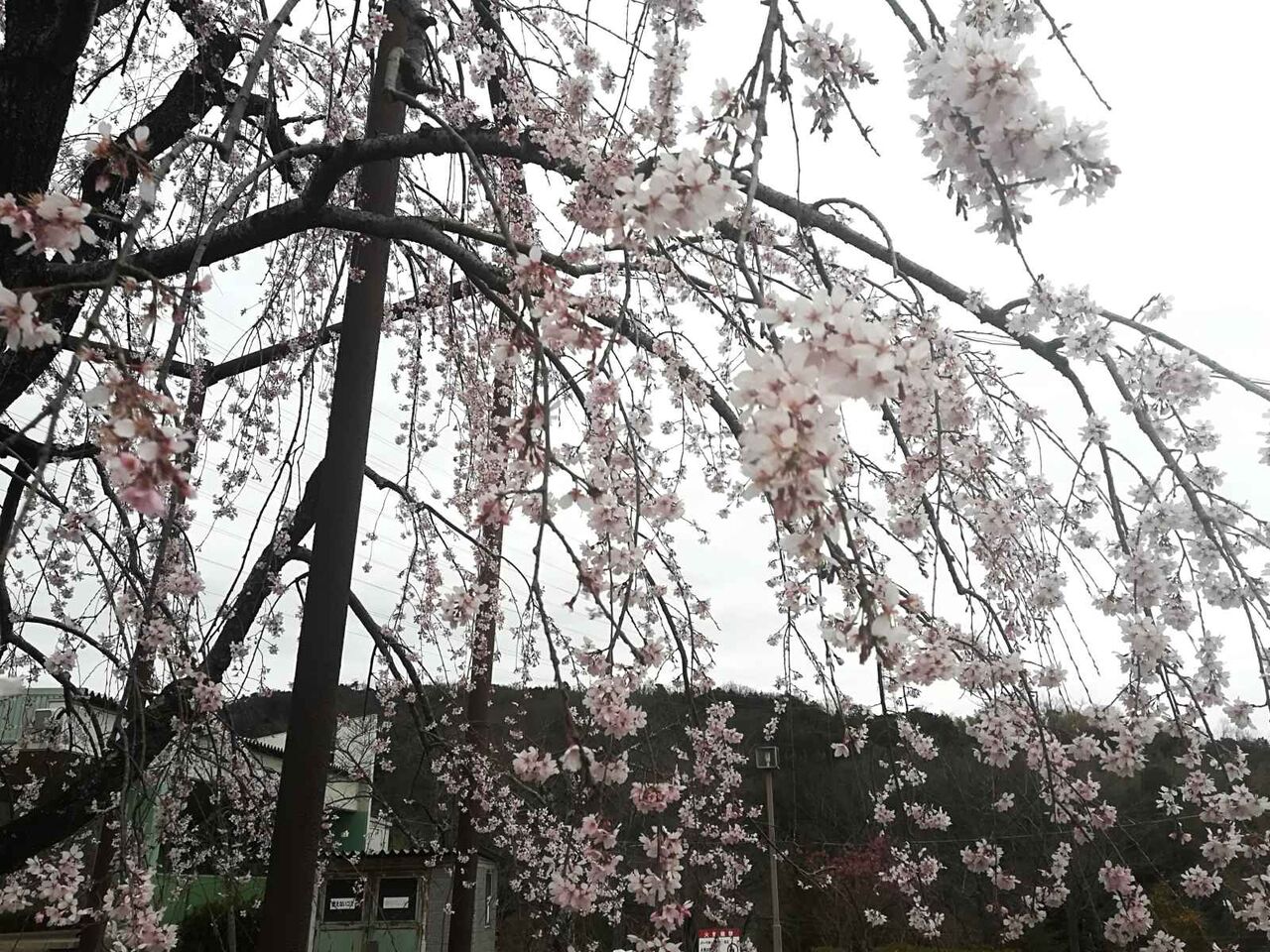 トイレ盗撮 寺川 