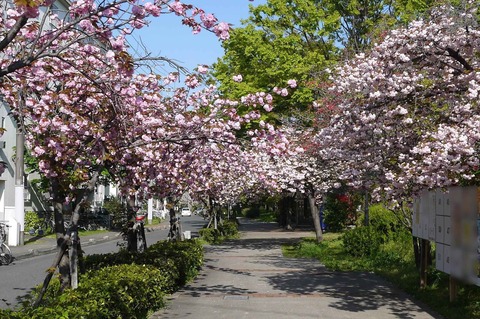 sk_20190418_9