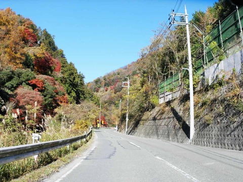 20241207府道6号紅葉 (9)