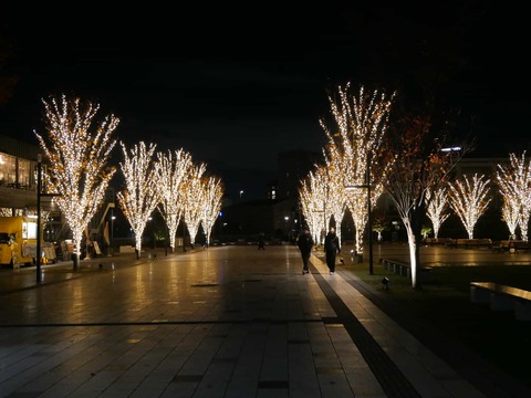 20241130安満関公園 (2)