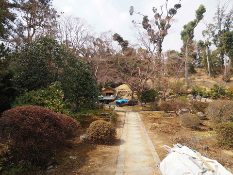 20220312大門寺 (10)