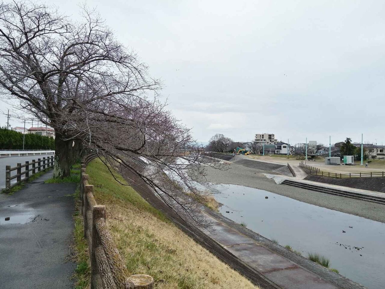 トイレ盗撮 寺川 高槻の桜 摂津峡公園 しだれ桜がかなり咲いてきた！ 2024年3月28日 : 高槻Network新聞