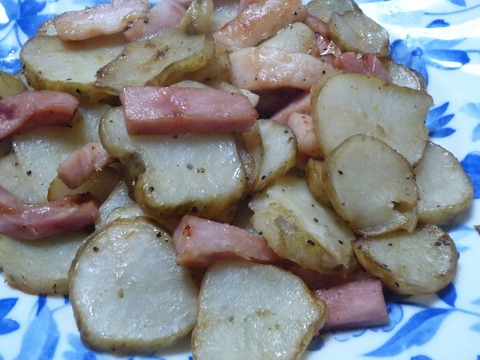 kikuimo2