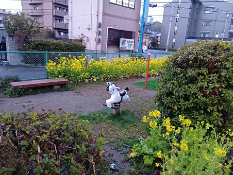 20250312にしまかみ (5)