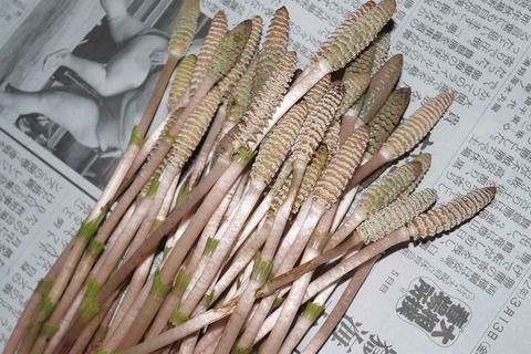 tukusi20200313_2
