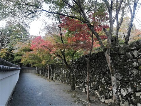 20221031神峰山寺 (4)
