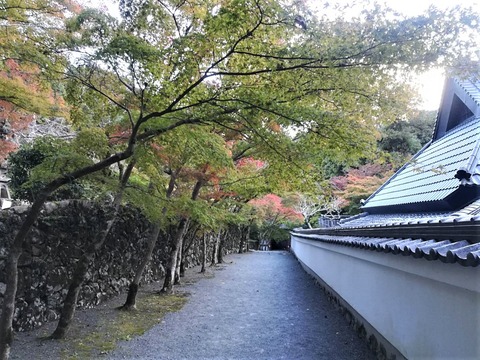 20221031神峰山寺 (5)