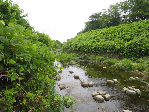 20220718長岡京3連 (4)