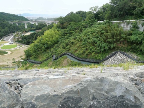 20240819安威川ダム (46)