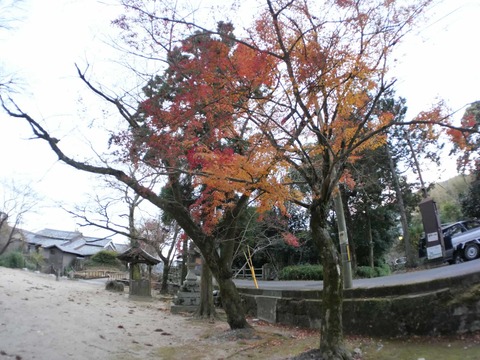 20241221八阪神社 (6)