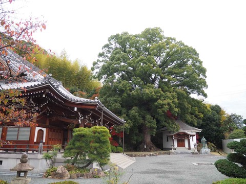 20221124一乗寺 (2)