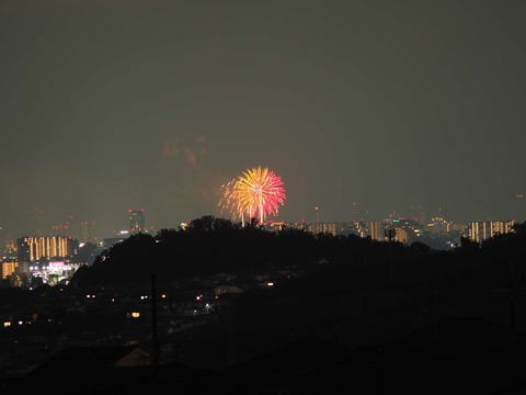 20220827なにわ淀川花火 (89)