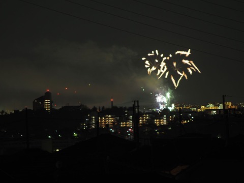 20221126万博花火 (44)