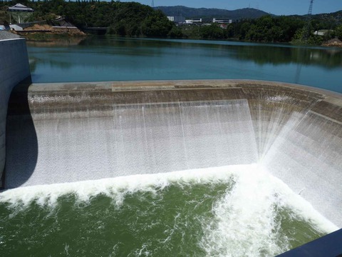 20230509安威川ダム昼前 (21)