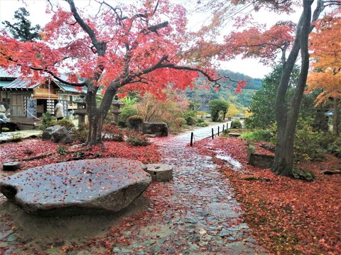 20221123大門寺 (12)