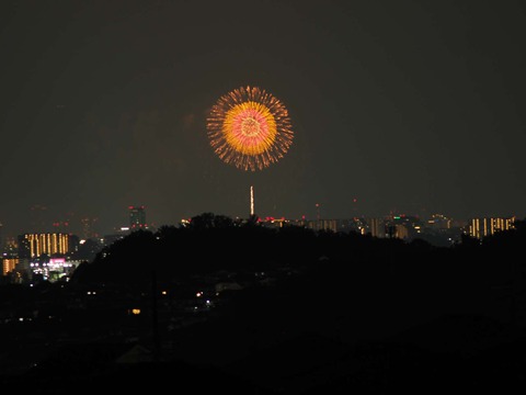20220827なにわ淀川花火 (170)