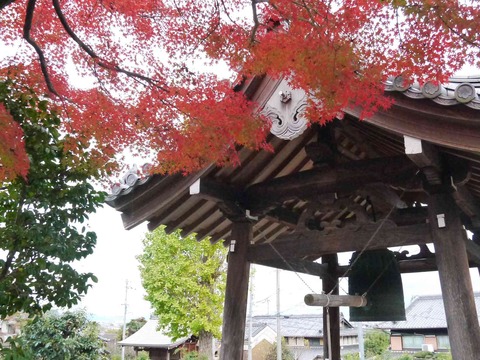 ichijyoji5